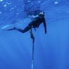 Pete Diver