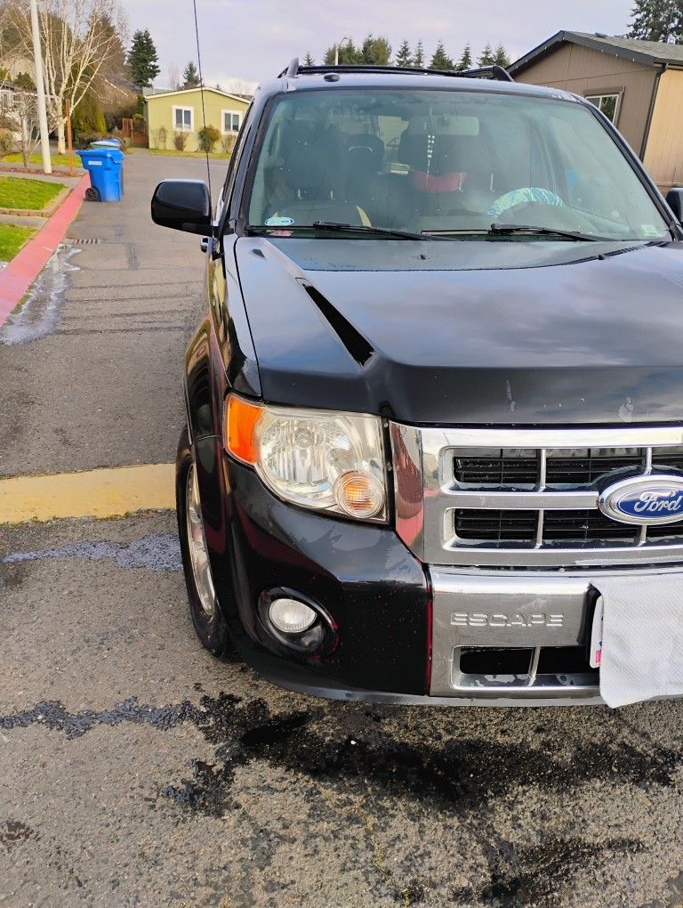2011 Ford Escape