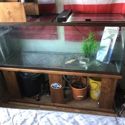 100 gallon aquarium / wood stand