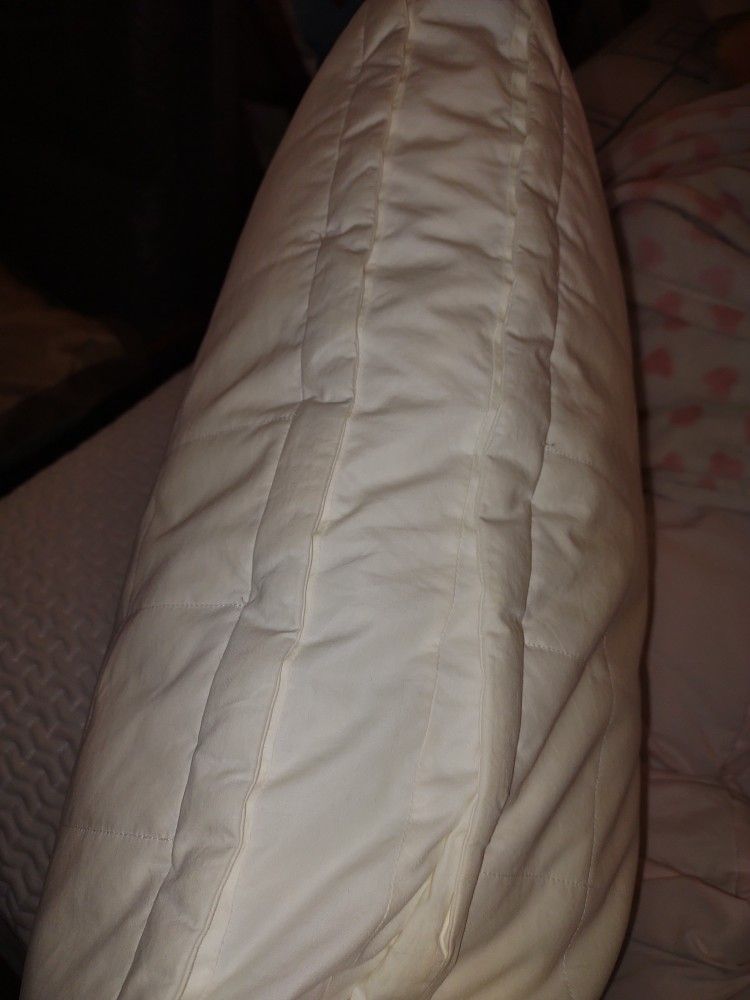 LARGE THICK COMFY BED PILLOW by HOLLANDER