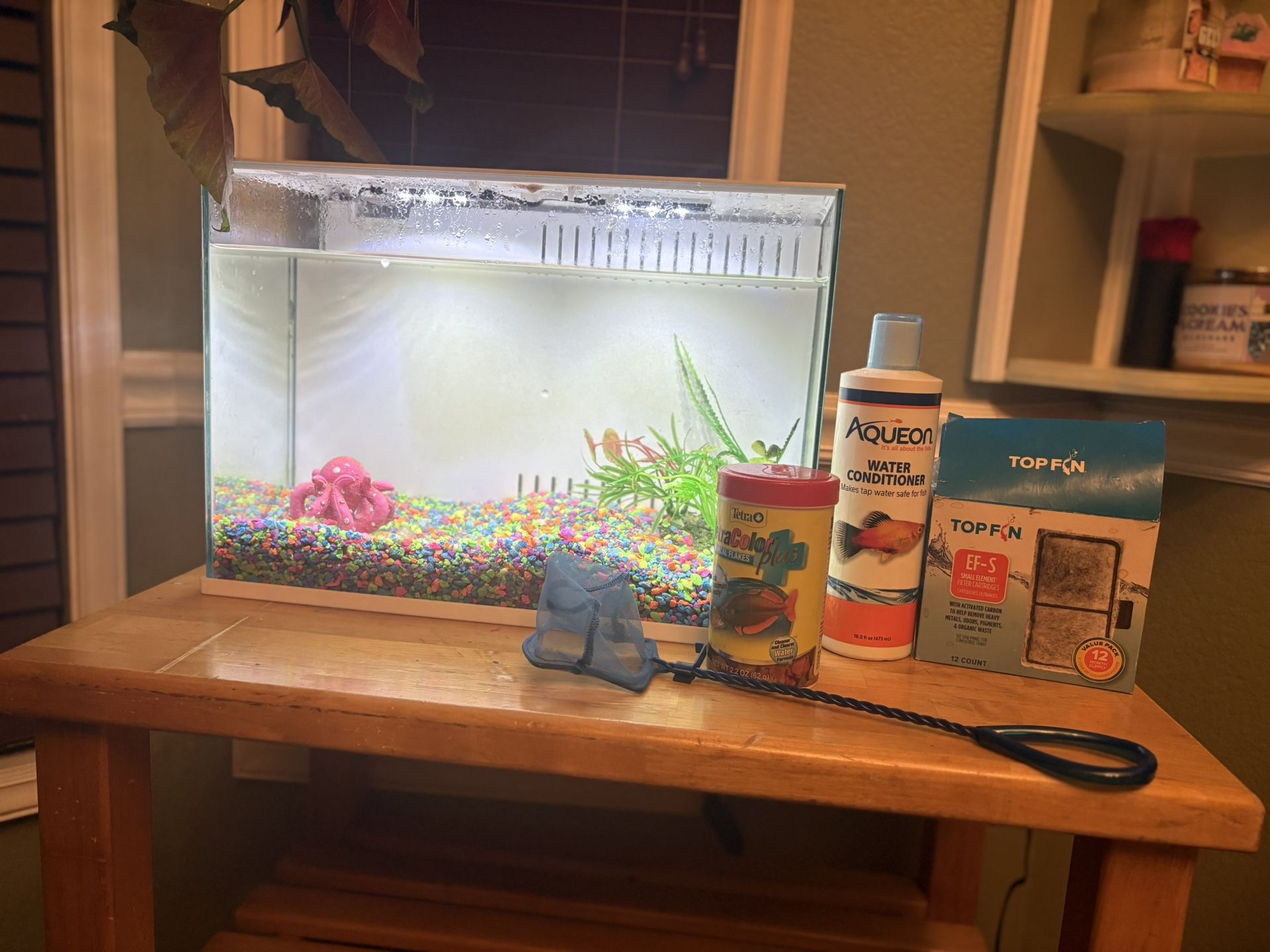 Fish Tank And Accessories