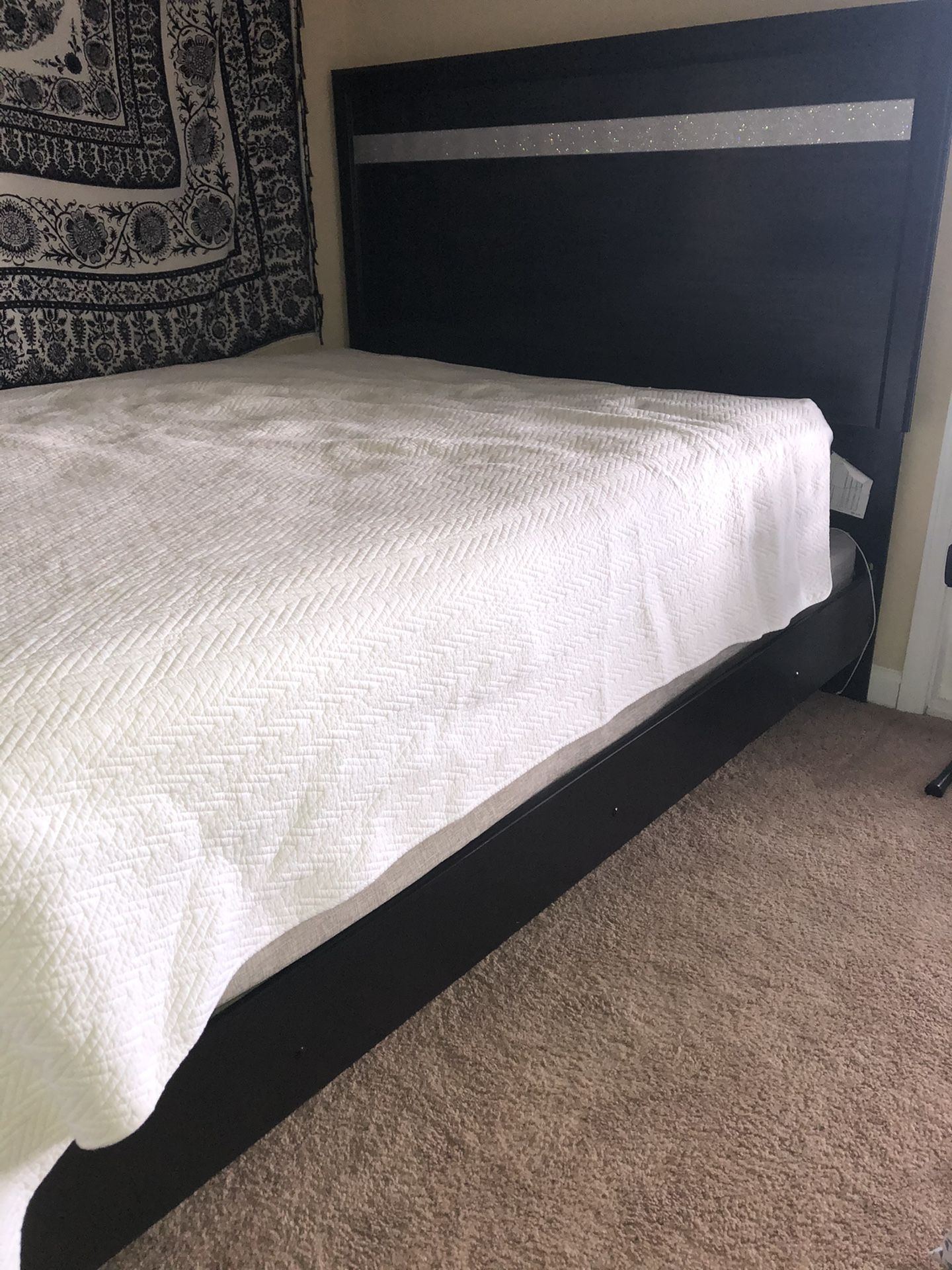 Black Ashley Furniture bed frame & box spring (+mattress if desired)