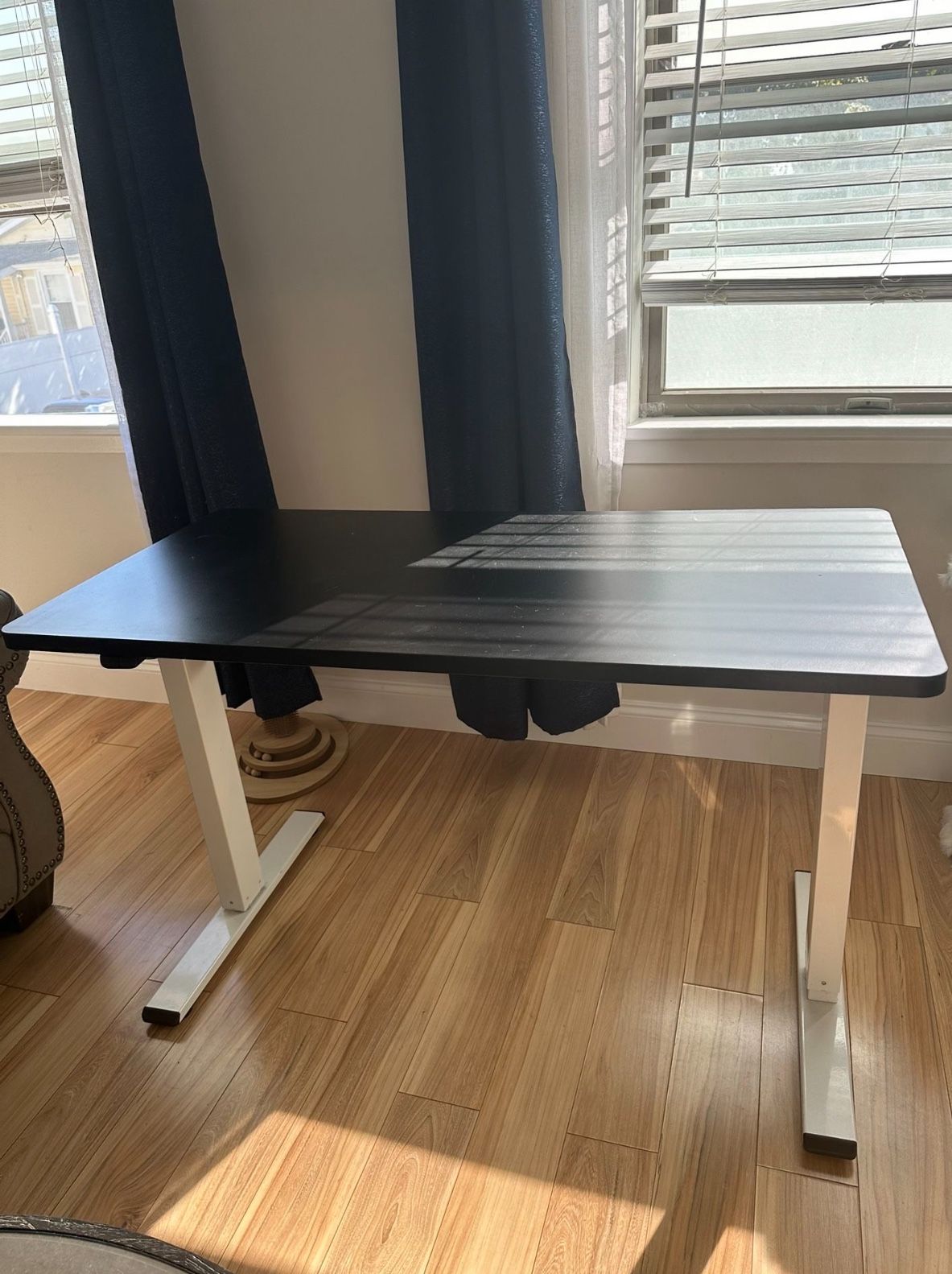 Flexispot Standing Desk