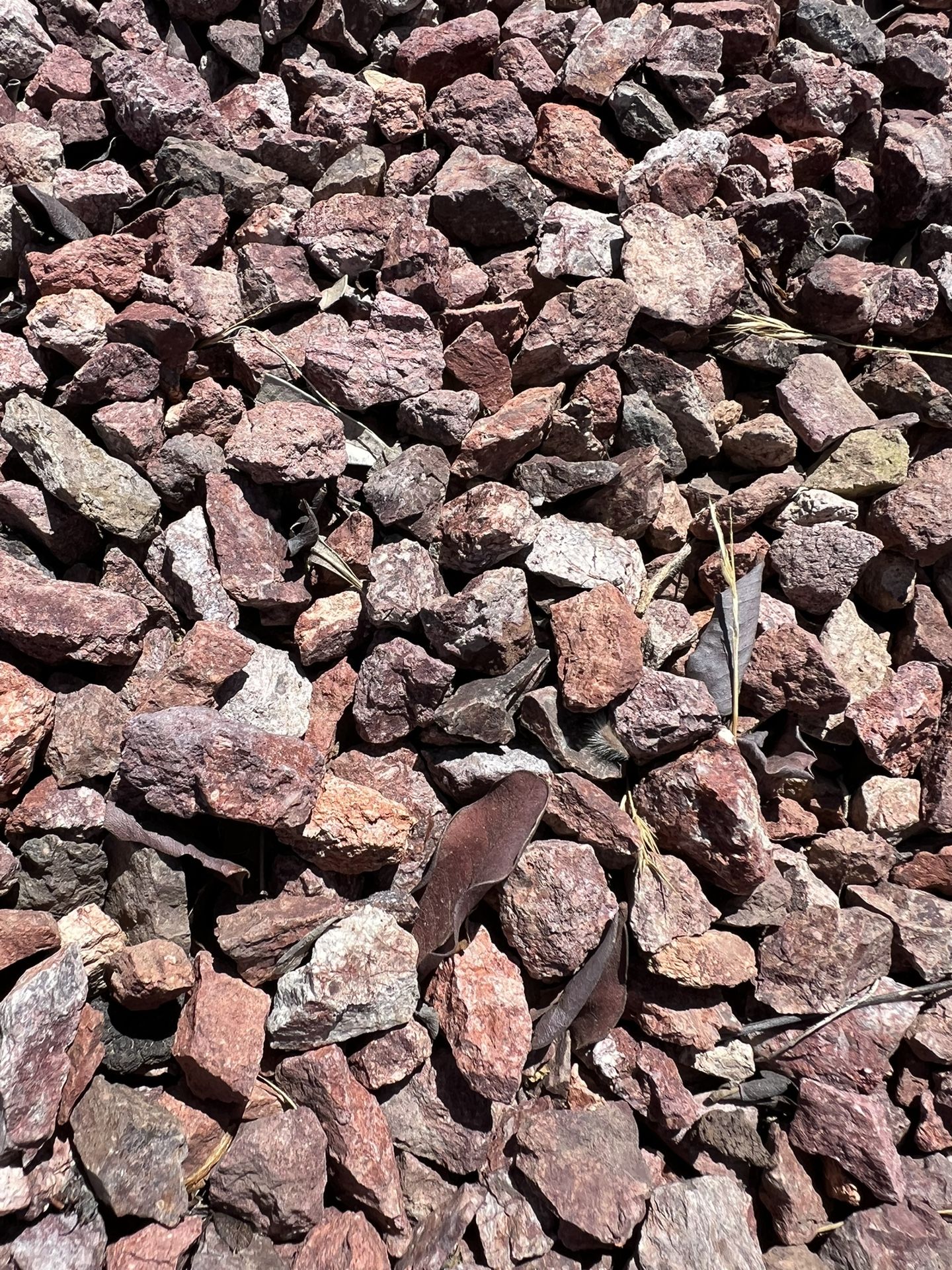Free Landscape Rock, Half Inch Minus Coral
