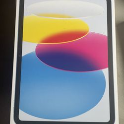 Apple I Pad- Blue 64 GB