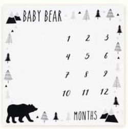 Baby Bear Milestone Blanket