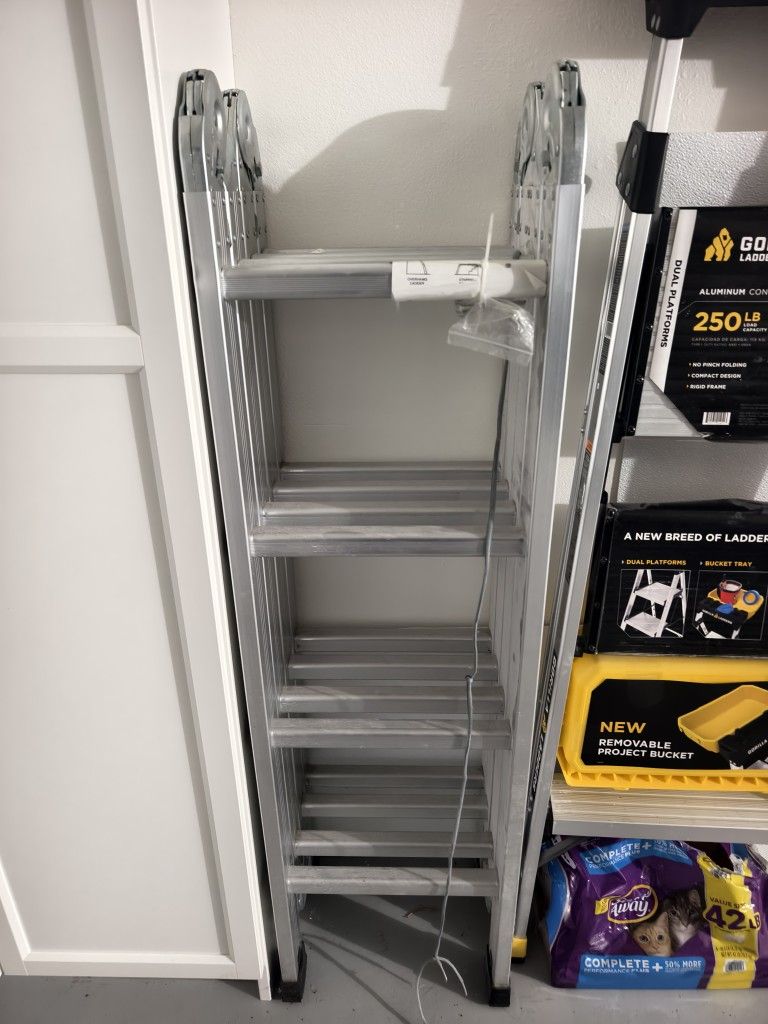 Multi-function Ladder