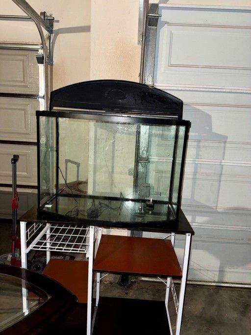 Fish Tank