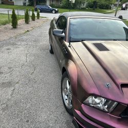 2007 Ford Mustang