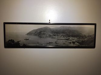 Catalina Island Original Film Photo