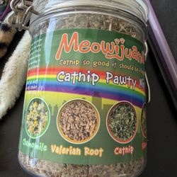 Cat Accessories 