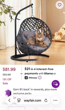 Cat Hammock