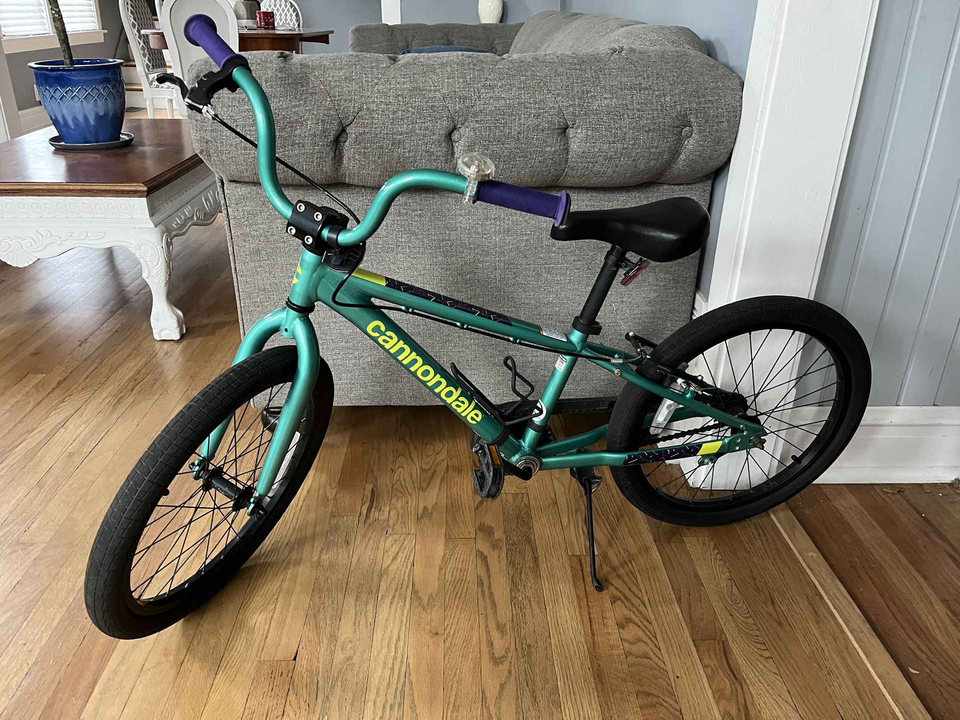 Cannondale 20” Bike