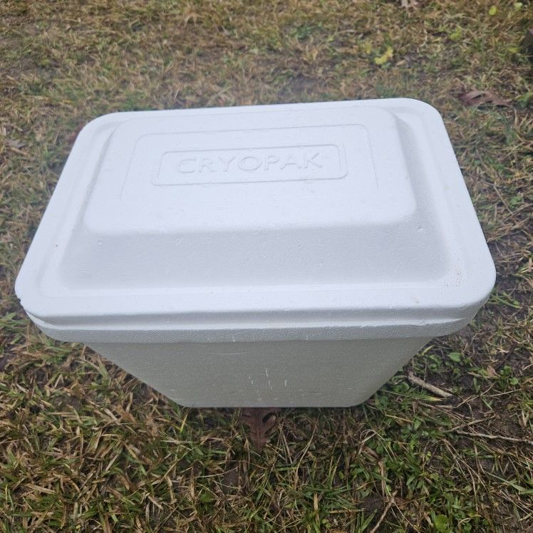 Plaster Icebox