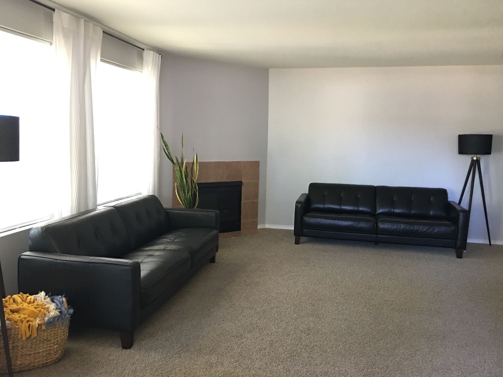 Black Leather Sofas from DANIA