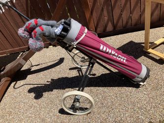 Set Of Golf Clubs And Cart