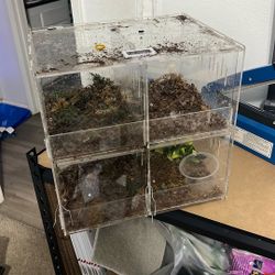 Reptile Terrarium 