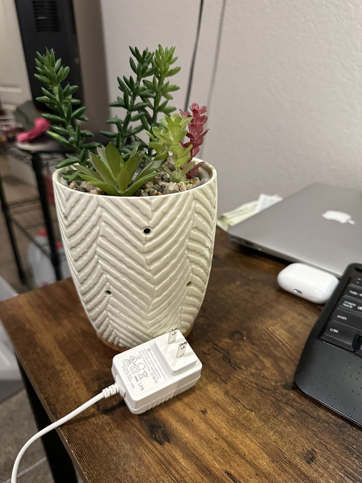 Essential Oil Diffuser Faux Succulents 