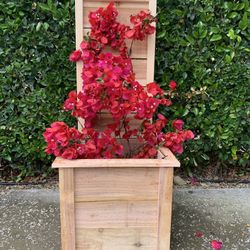 Planters Box
