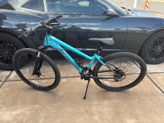 Schwinn 21 Speed Mountain Bike