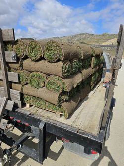 SOD!!! FREE DELIVERY, FREE FERTILIZER.