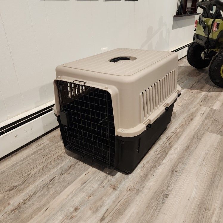 Kennel