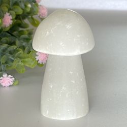 Selenite 🍄
