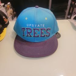 Grass Roots Snap Back 