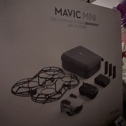 Mavic Mini Drone 