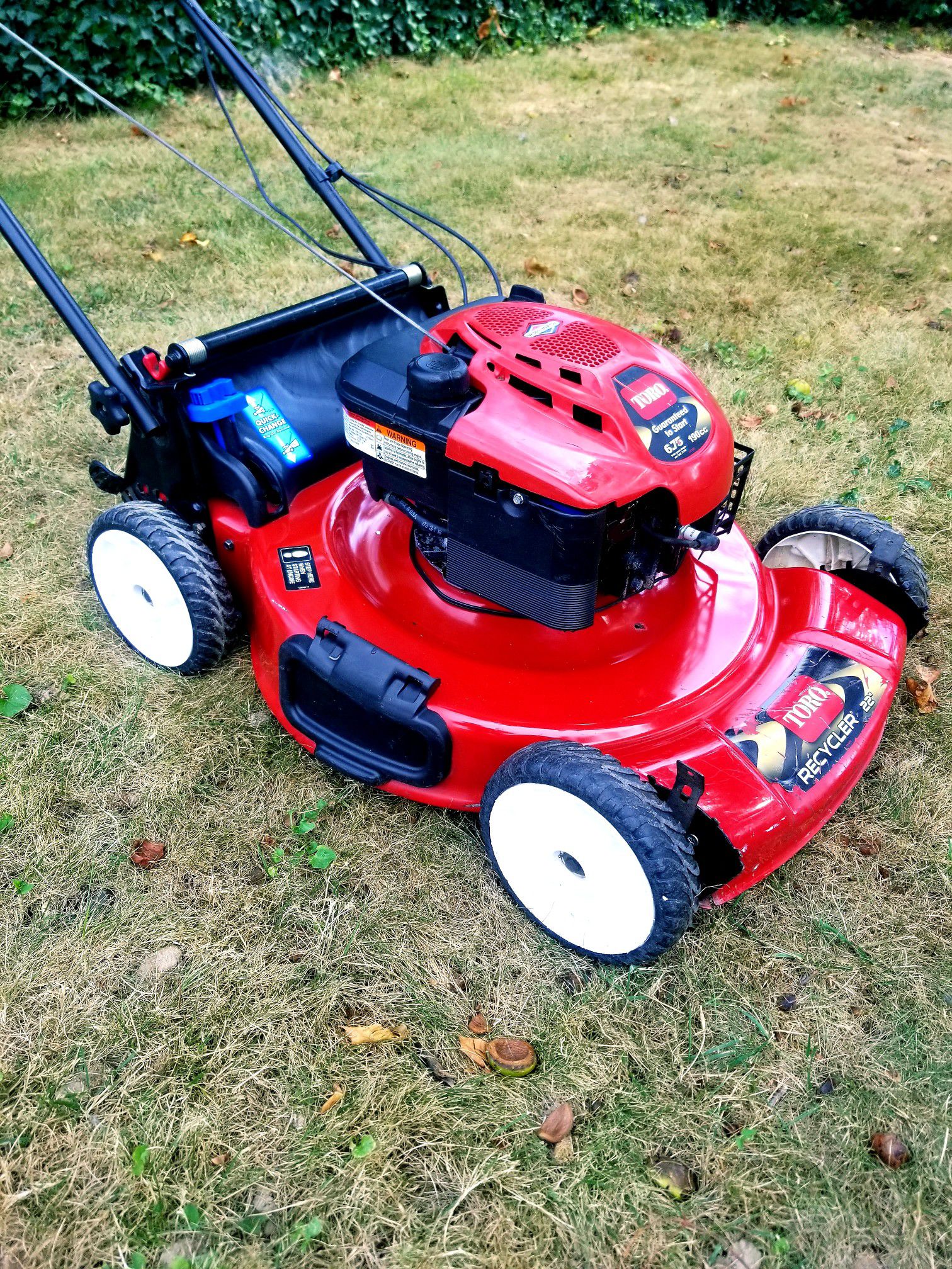 Toro 22" Recycler Personal Pace with Spin-Stop Lawn Mower (20333)