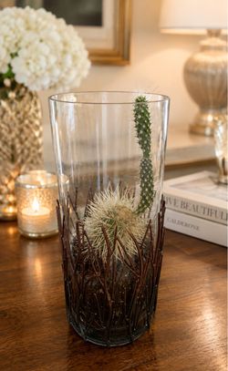 Cactus planted in Glass Terrarium Vase 10” tall