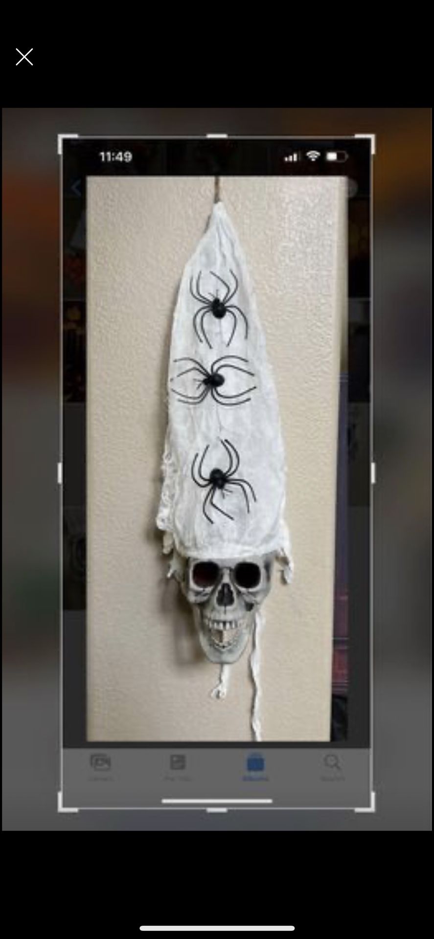 Hanging Skull With Spiders. Skulls Lights Up **new** I have several available $10 each