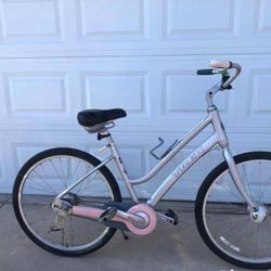 Trek Cruiser