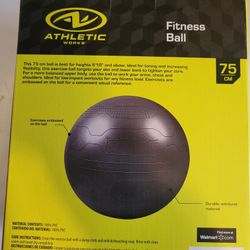 Fitness Ball