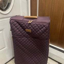 Large Checked Luggage
