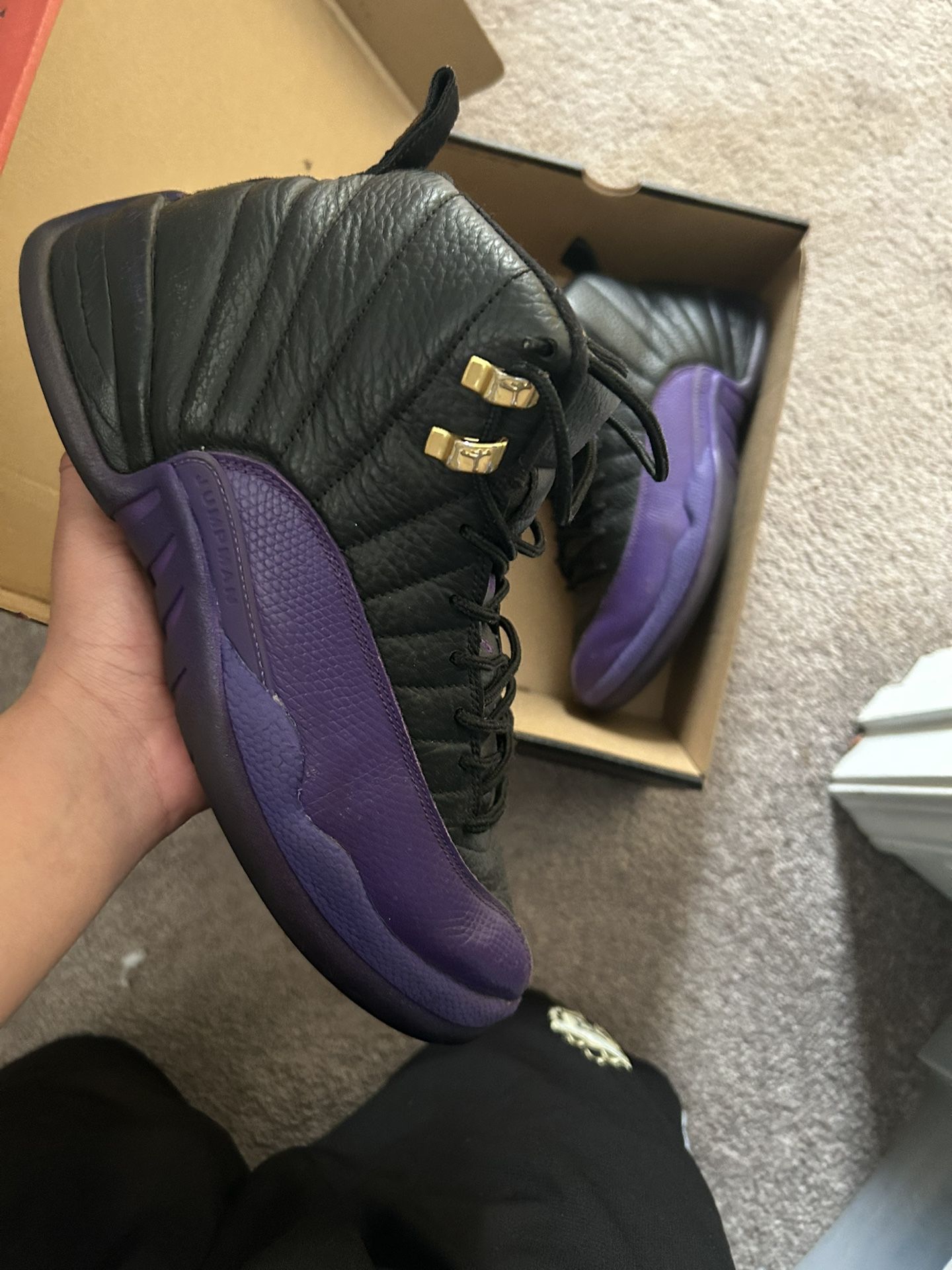 Jordan 12 Field Purple