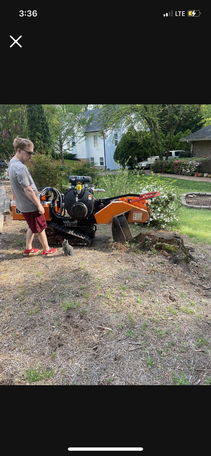 Stump Grinding