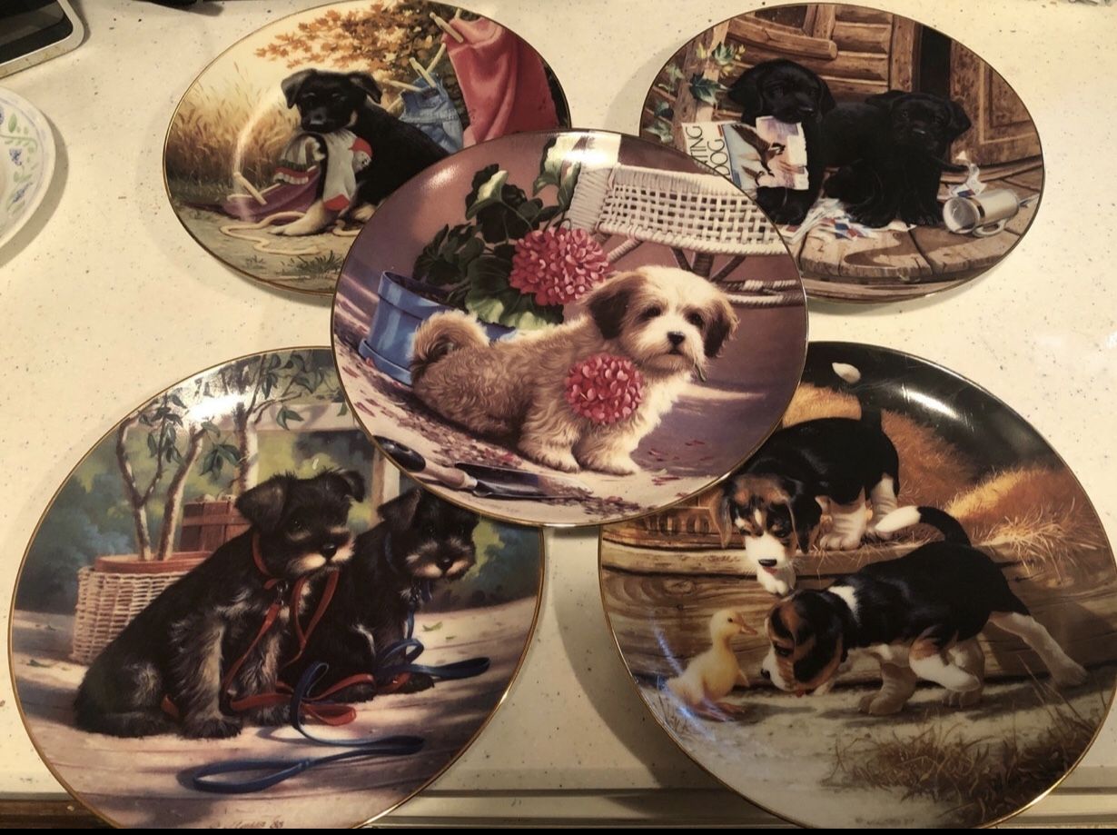 Set of 5 VINTAGE River Shore "PUPPY PLAYTIME" decorative plates, Jim Lamb for Sale in Copiague