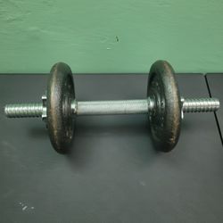 10lb Lifting Weights 