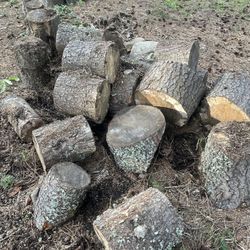 Free seasoned Wood