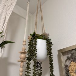 Hanging flower vases