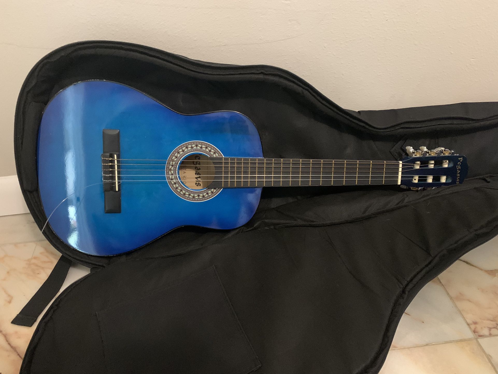 Youth Pegasus acoustic guitar With Case