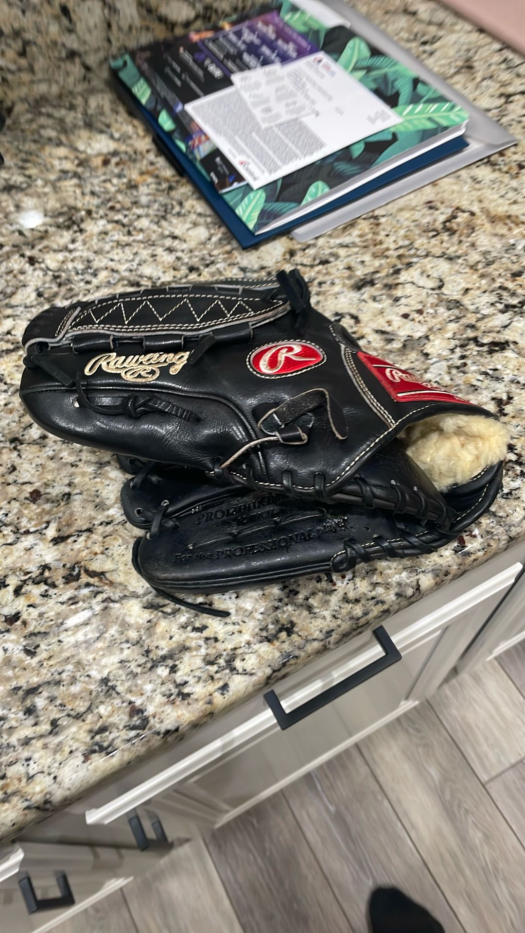 Rawlings  The Gold Glove Company 12 Inch Left Hand Throw