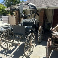 Horse Carriage Doctors Buggy