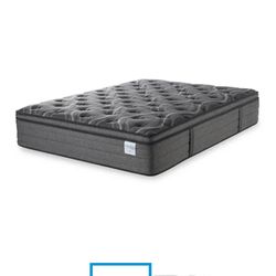 Queen Sized Mattress