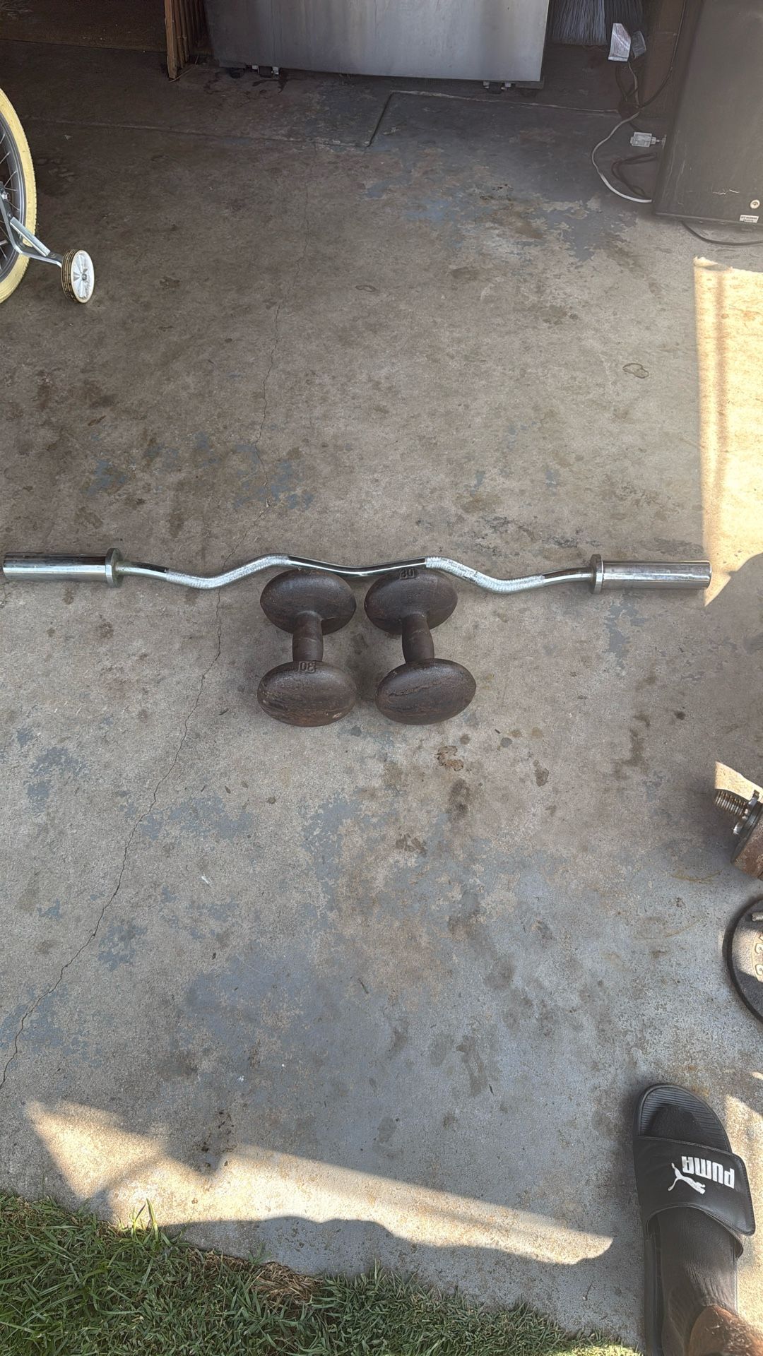 30 Pound Dambells and Curl Bar