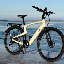 Full Carbon Fiber ebike (Urtopia Carbon Classic) 