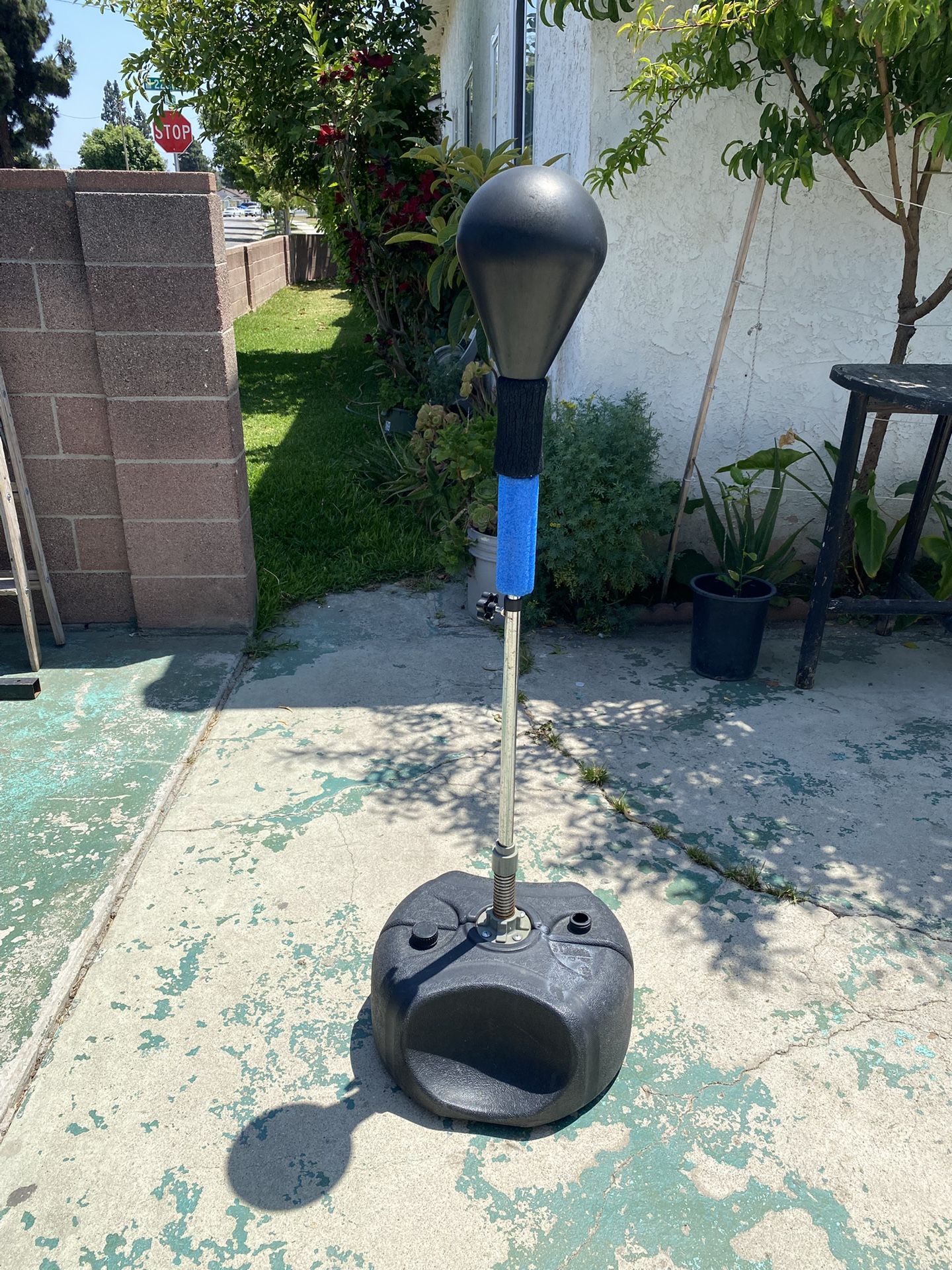 Reflex Punching Bag
