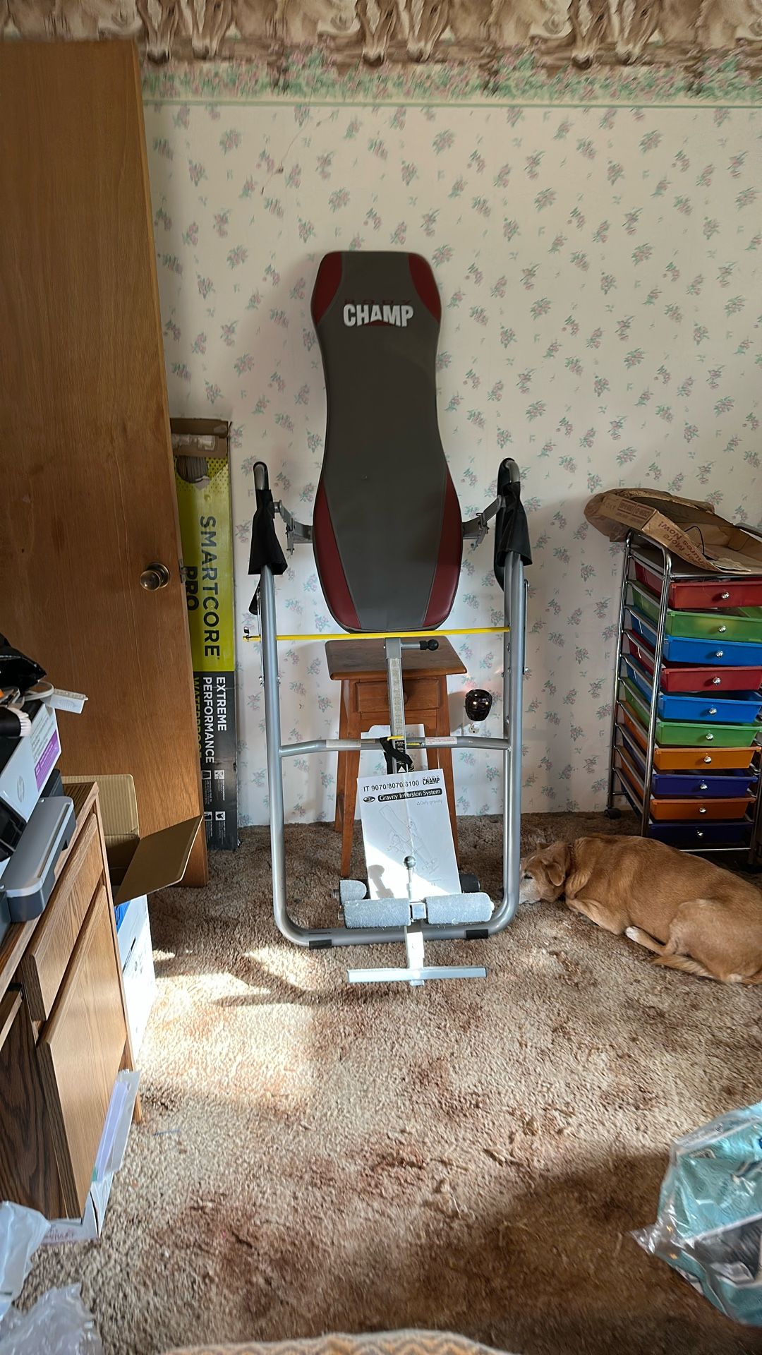 Body champ gravity, inversion system