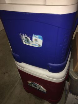Igloo Coolers